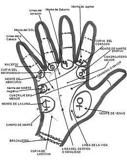 LEER LAS RAYAS DE LA MANO leer las rayas de la mano: