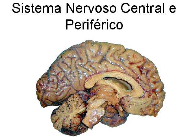 Conseguenze di alcolismo per la persona