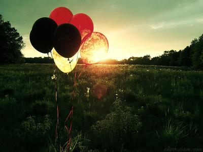 Summer Photography