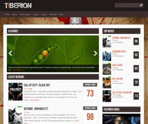 Tiberion WordPress Theme