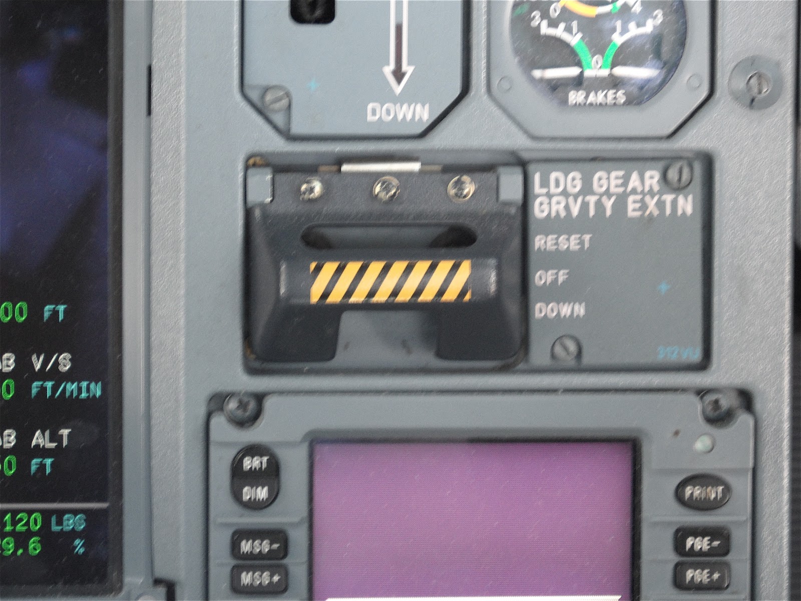 Flight To Success Time To Bounce