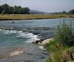 Il Piave a Falzè