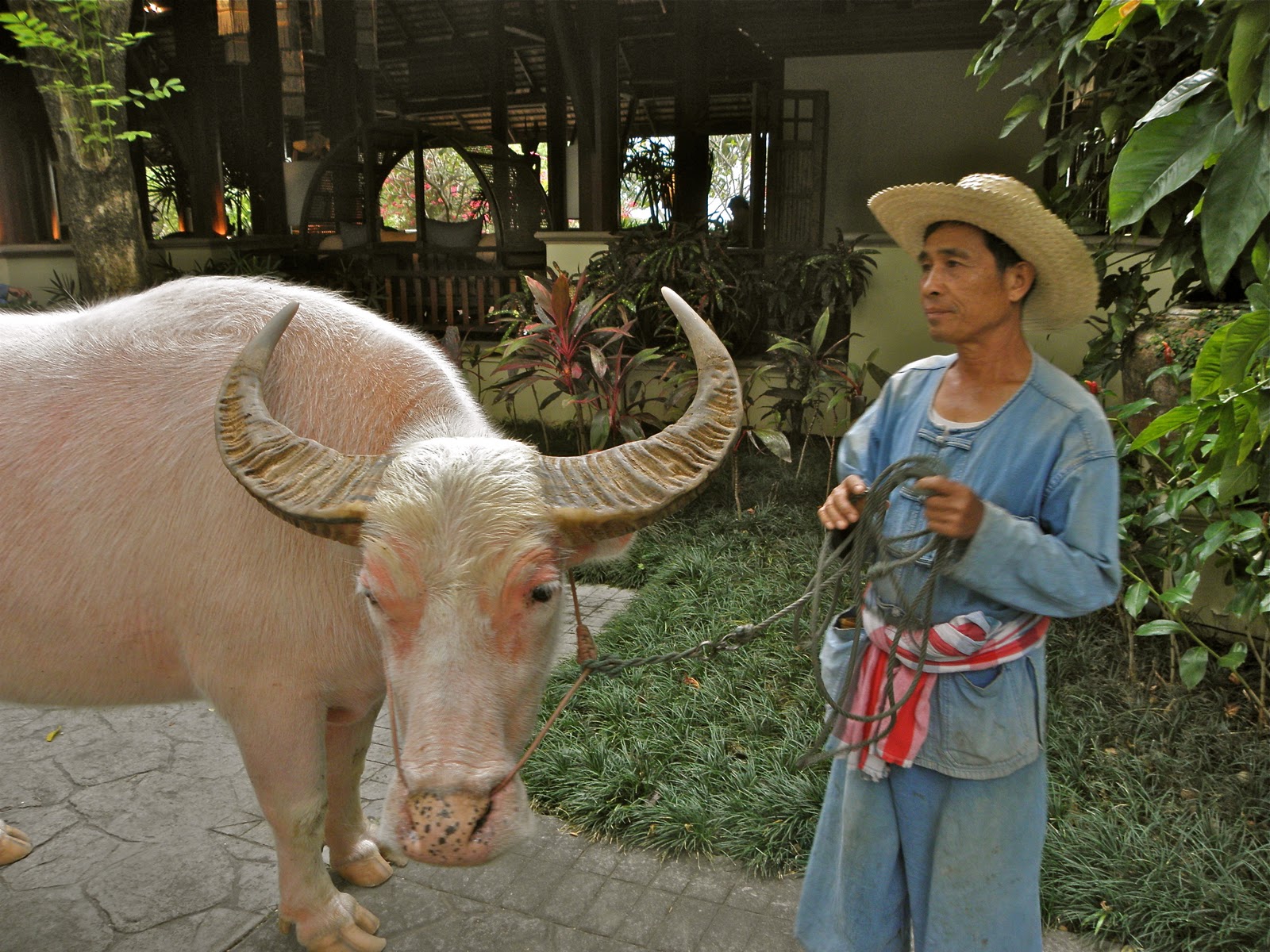 A Breath of Fresh Air Ride 'em buffalo girls...............