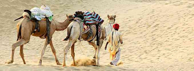 Sand Dunes of Rajasthan India image Sand Dunes of Rajasthan India image,picture,photo