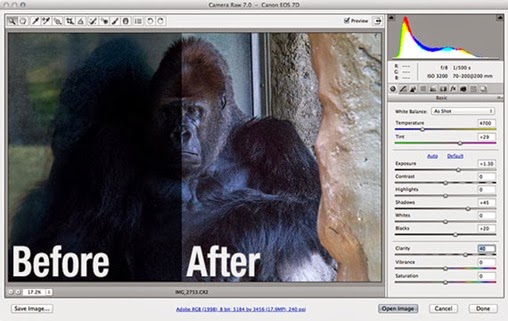 Camera RAW Update in Photoshop CS6 Camera RAW Update in Photoshop CS6