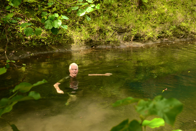 Waimalu Ditch Trail The HI Escapade.