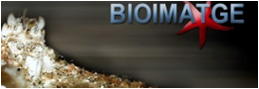 BIOIMATGE