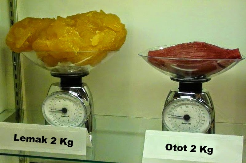 Nia Bakar lemak dengan mudah