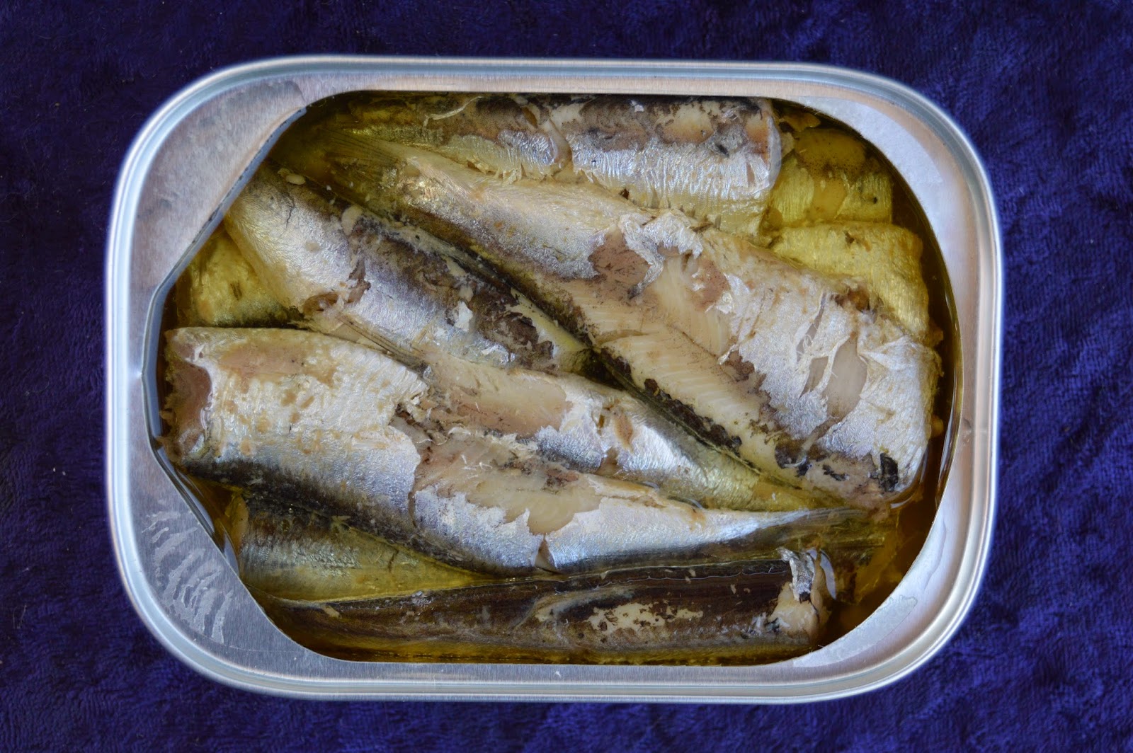 Mouth Full of Sardines ORLEANS 115