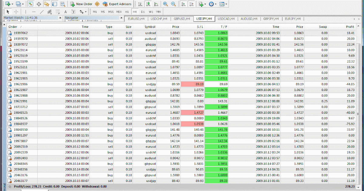 Binary option signals skype