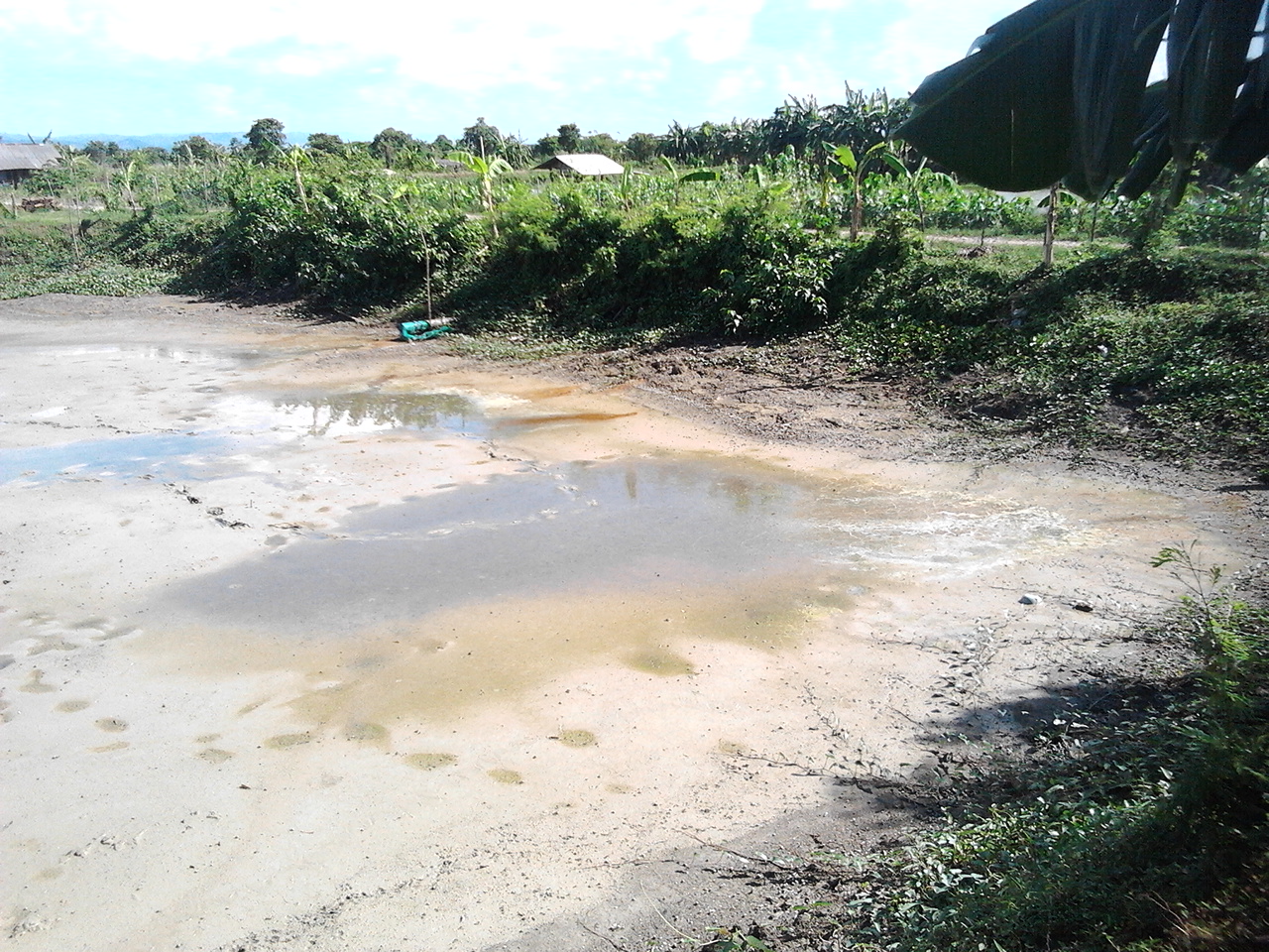 PENGERINGAN KOLAM ATAY TAMBAK IKAN SANGAT VITAL DALAM BUDIDAYA IKAN DAN