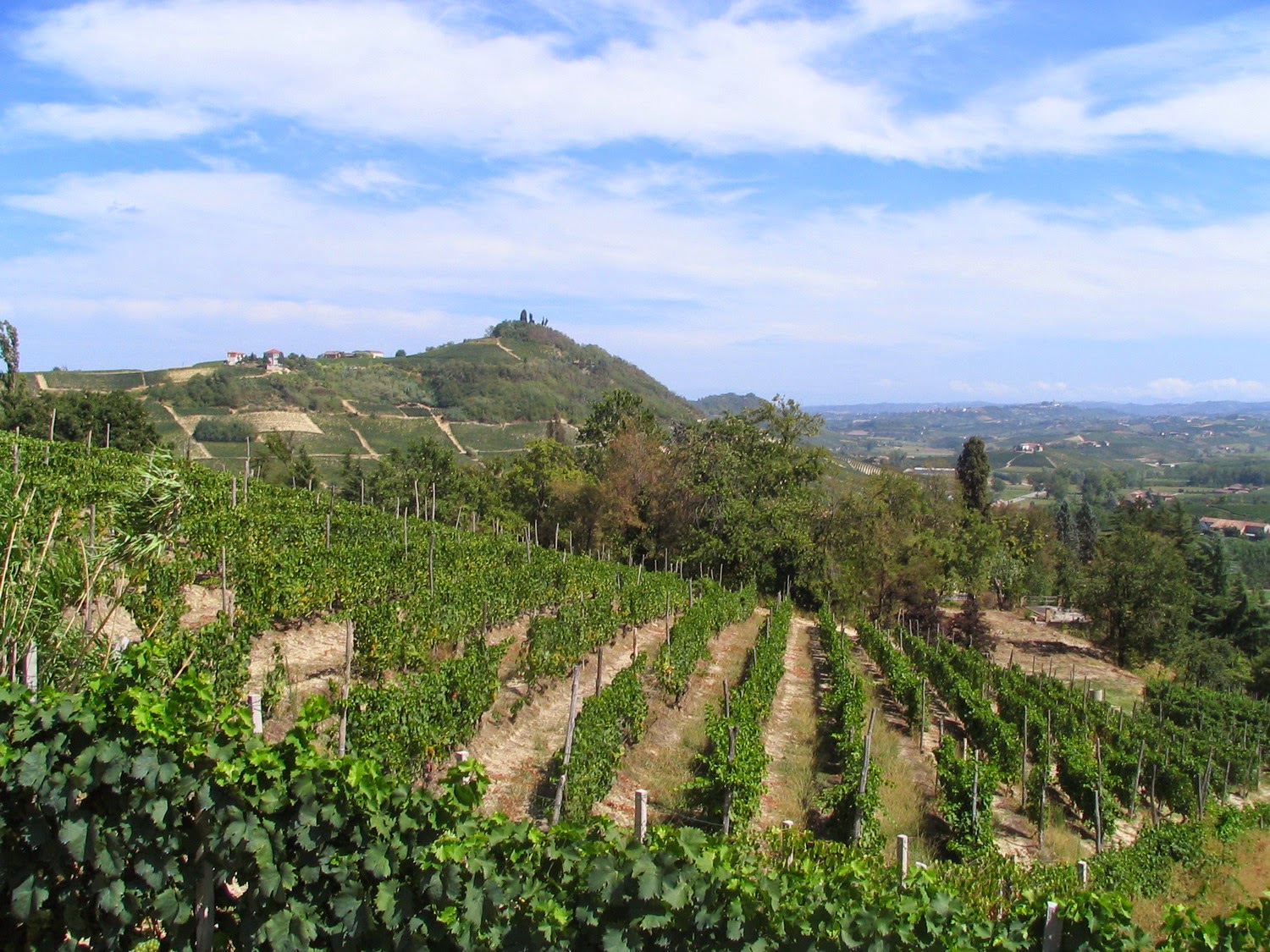 Se guardo nel caleidoscopio: gennaio 2015