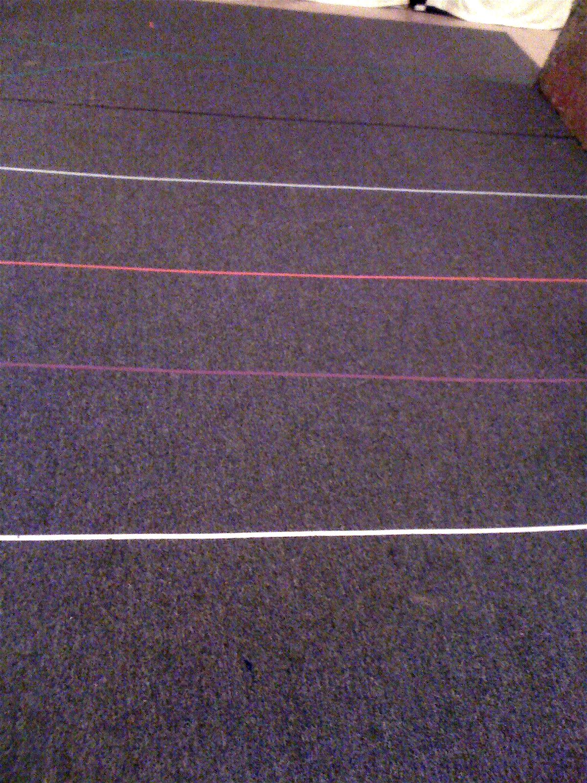 Teacher Tom More Catapults