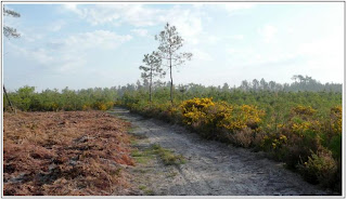 rencontre a rion des landes