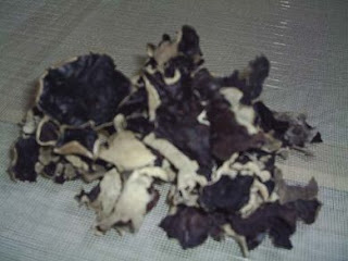Jamur Kuping Hitam Sebagai Obat