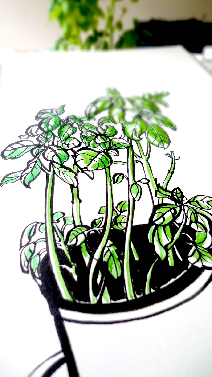 arteascuola: Sketches of plants
