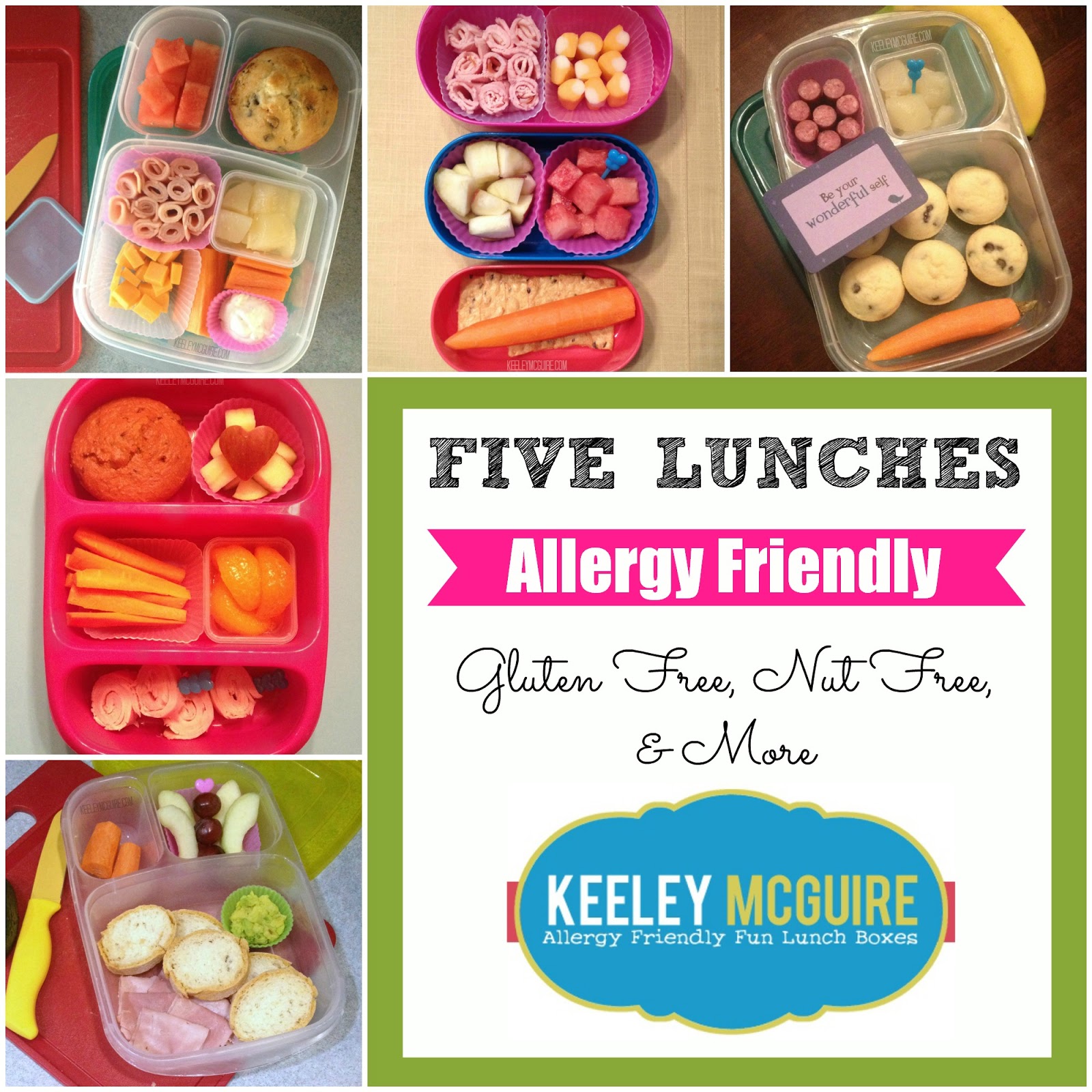 Gluten Free & Allergy Friendly Lunch Made Easy Five School Lunches