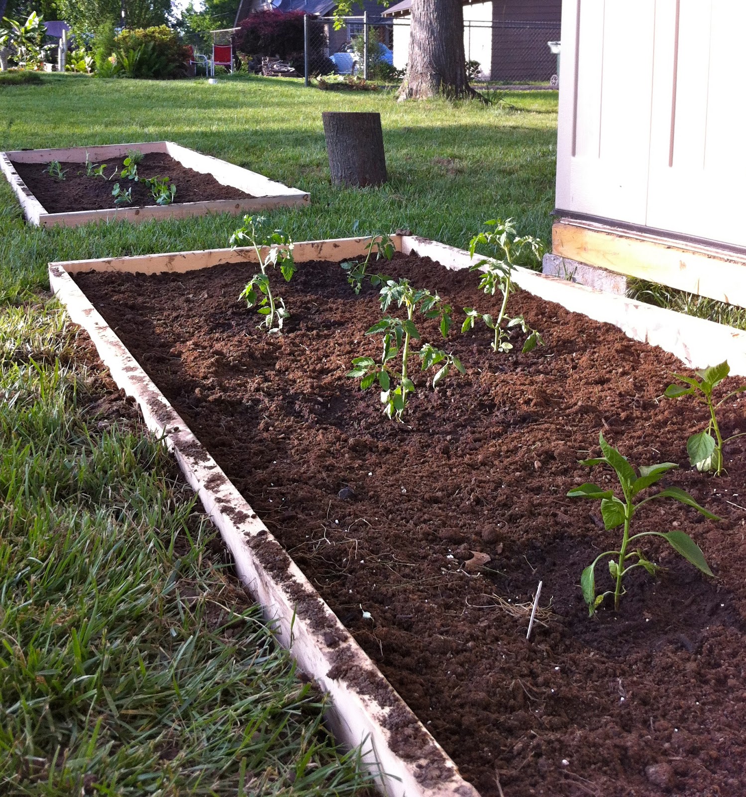 Limelight Musings: Guest Entry: Building Easy Garden Beds