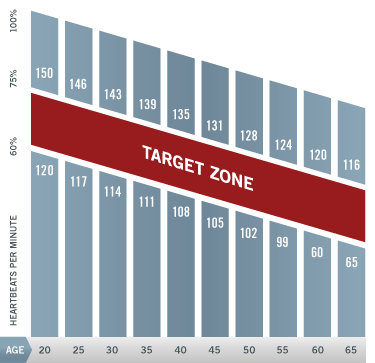 Active Heart Rate Chart By Age