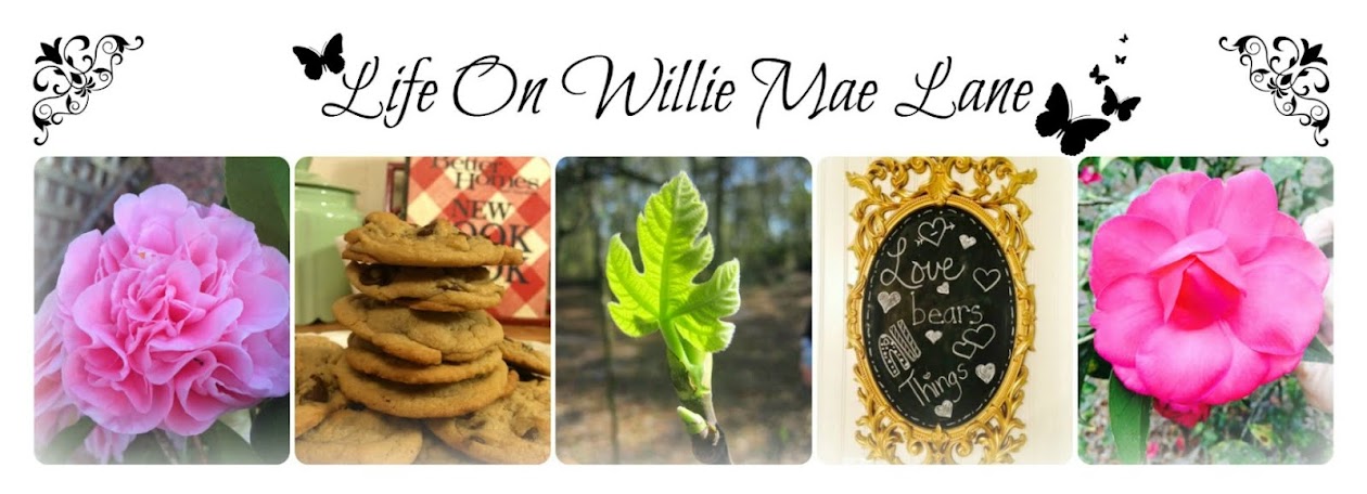 Life On Willie Mae Lane