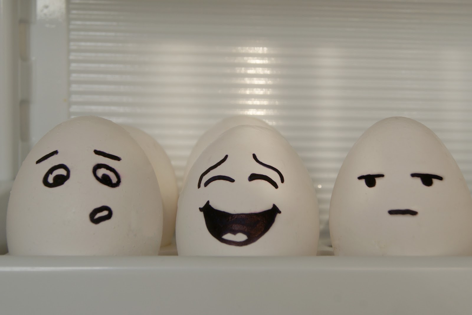 Picture Gallery: Funny Egg Faces Gallery, Eggcellent Videos Funny ... Picture Gallery: Funny Egg Faces Gallery, Eggcellent Videos Funny ...