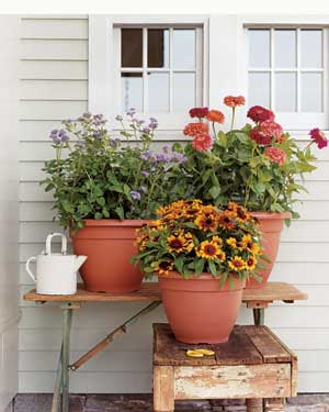 change of scenery: weekend project: diy potted garden