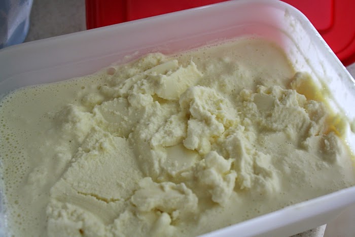 homemade Disney Dole Whip pineapple ice cream sorbet sherbet recipe
