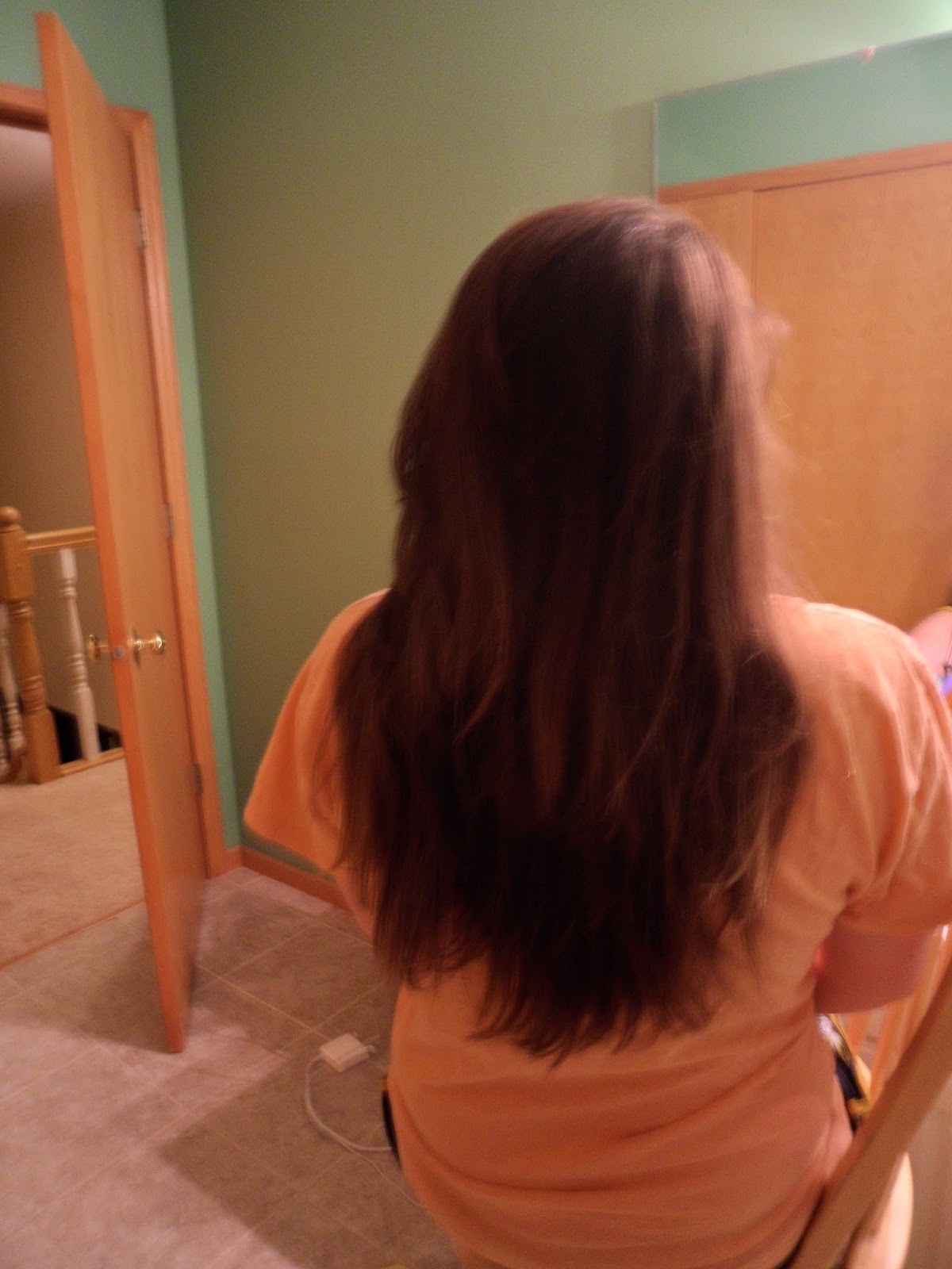 Come Fly With Me Diy Subtle Ombre Hair