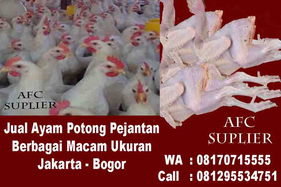 AYAM PEJANTAN