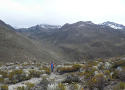 LA CULATA, ALTO DE MUCHUNTUY. 2011.