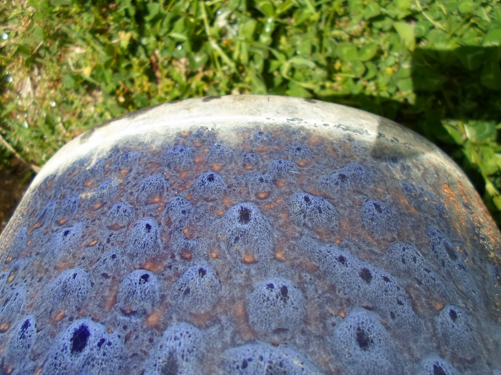 Autumn in Oklahoma Cleaning your flower pots