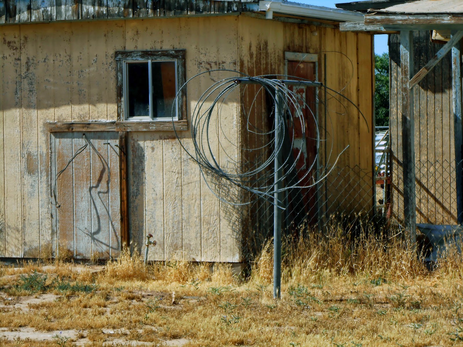 Abandoned in Queen Creek