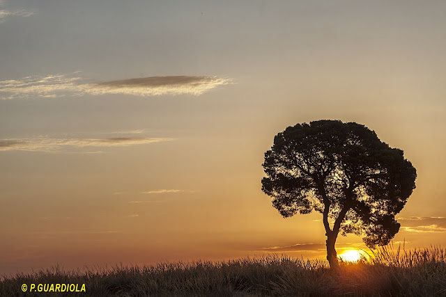 Balsa de Gaitan en Jumilla al amanecer