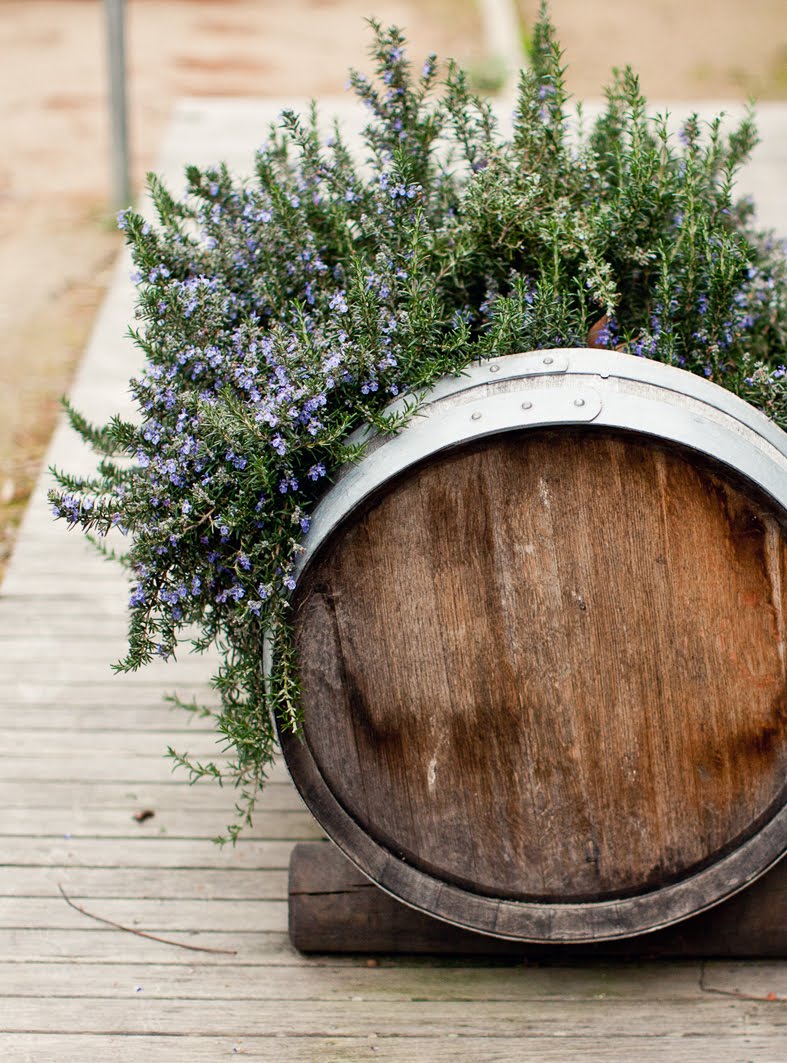 Wine Barrel Planter Wine barrel planter, Wine barrel, Outdoor gardens