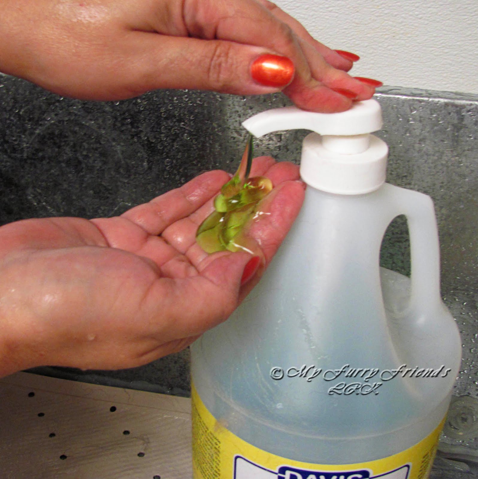 Pet Grooming The Good, The Bad, & The Furry Tuesday's Tip 27 Greasy