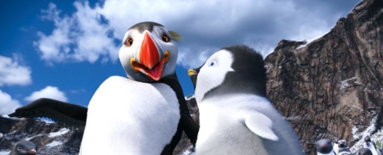 puffin happy feet puffin happy feet