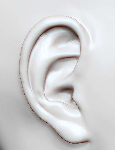 ear.png