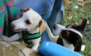 Thelma mid chew, Louise mid beg Thelma mid chew, Louise mid beg