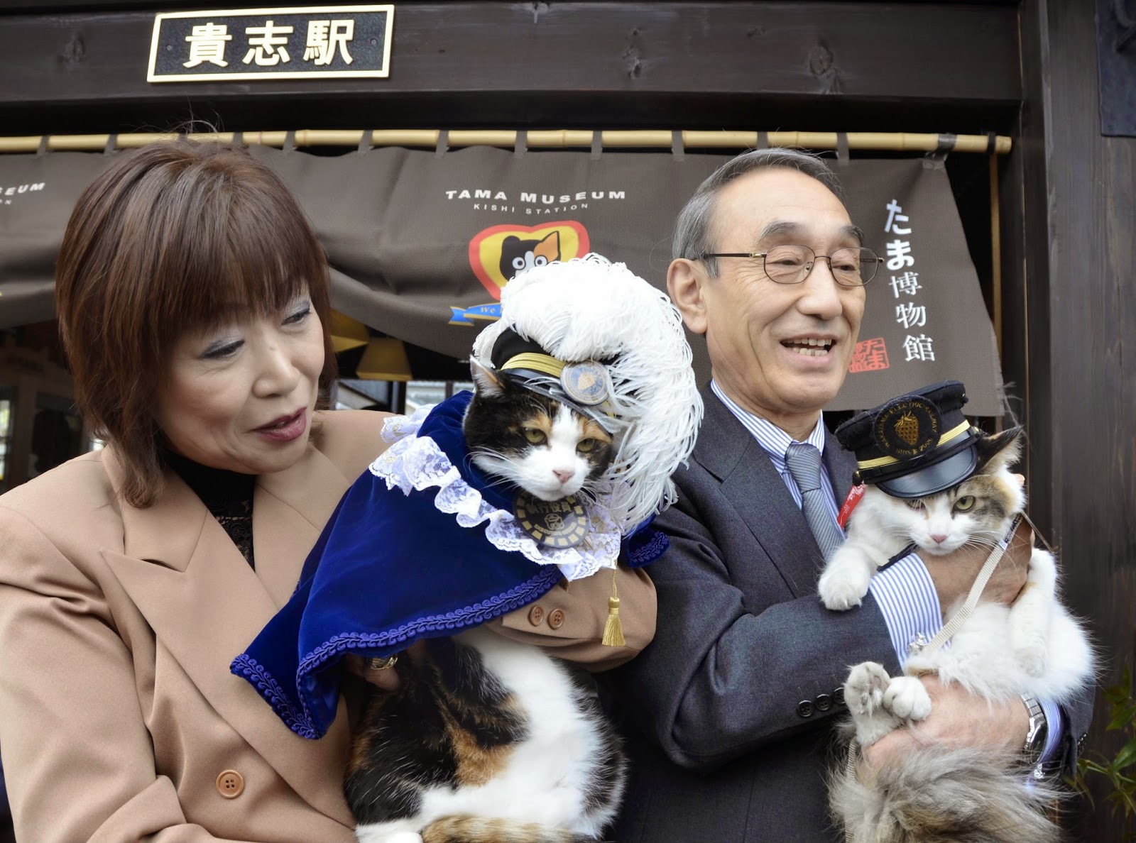 KUCING DILANTIK SEBAGAI PENGURUS STESEN KERETA API KUCING DILANTIK SEBAGAI PENGURUS STESEN KERETA API