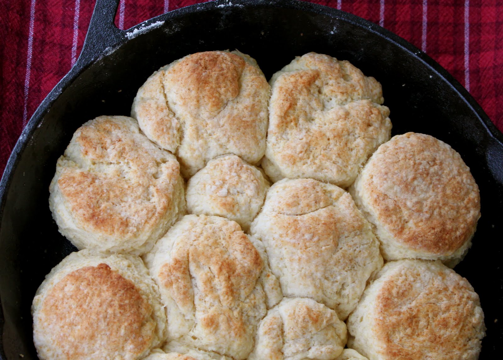 Skillet Biscuits A Bountiful Kitchen