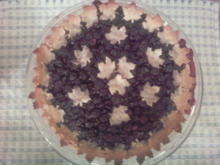 The Woolly Adventures of Paper Sparrow Attack of the Pies!