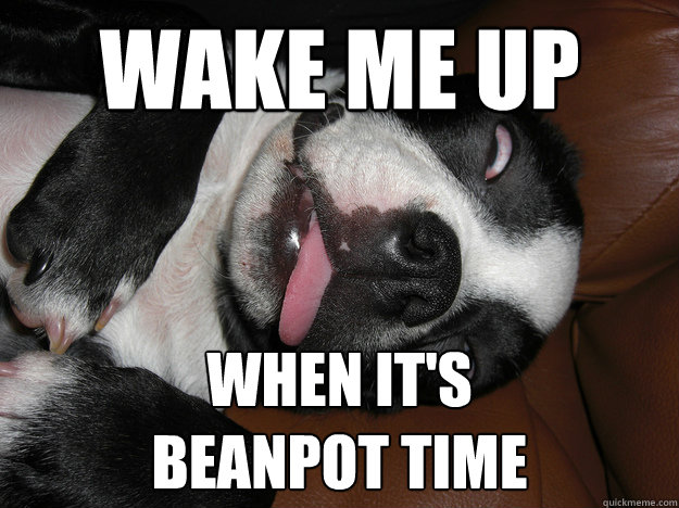 bay state (road) sports meme monday extended beanpot edition 3rym8f bay state (road) sports meme monday extended beanpot edition,Get Down Tonight Meme