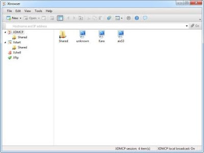 Xmanager Enterprise 4.0.0193