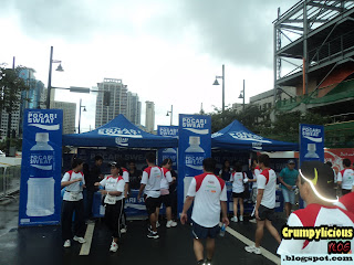 earth run 2011