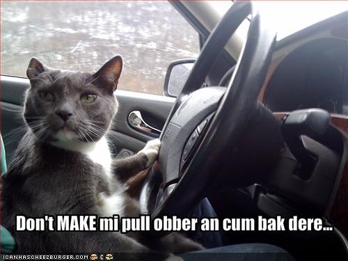 That Face Cats Make When You Turn On The Light That Face Cats Make When You Turn On The Light