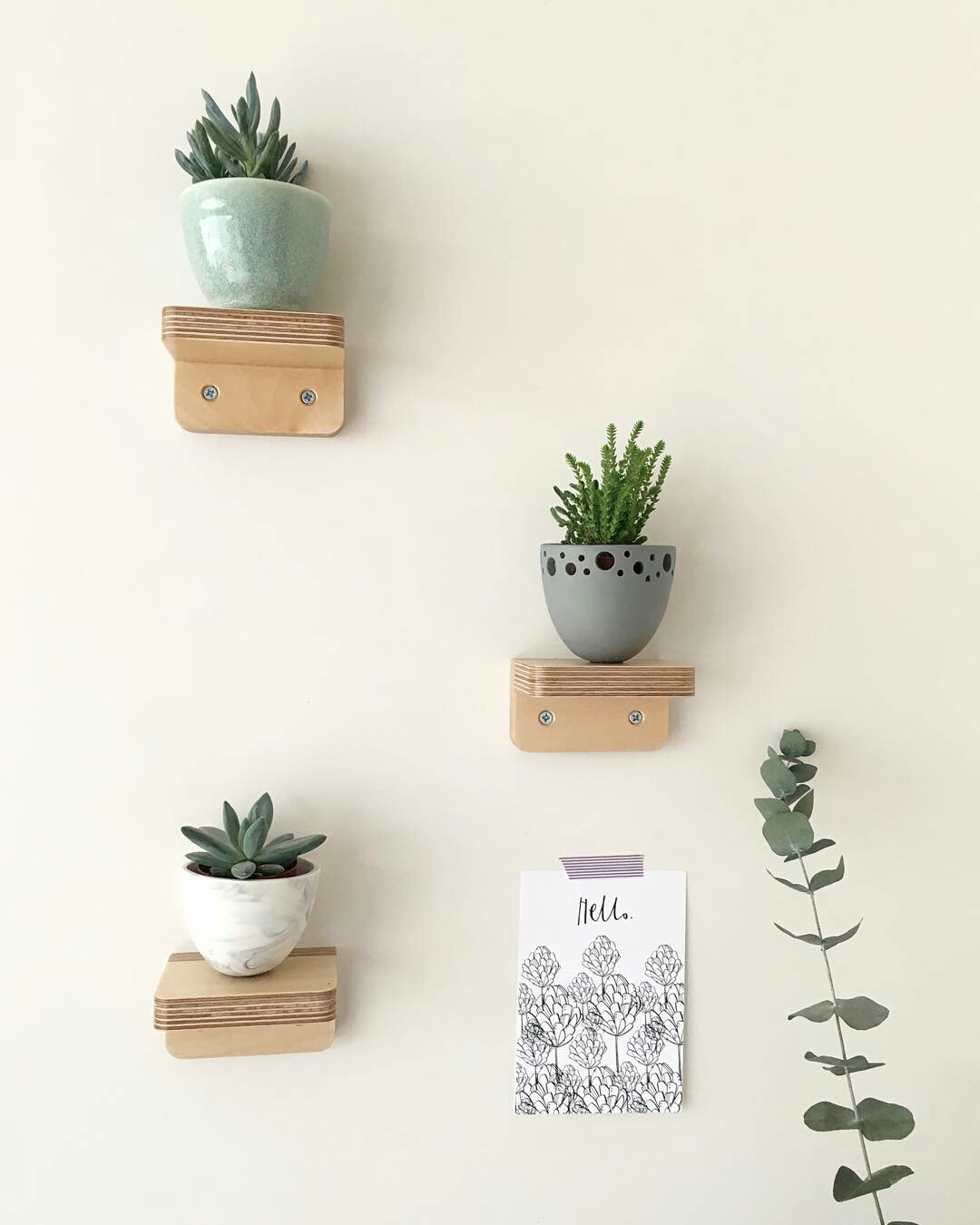Belevend bewijs: plant eens een plantje... in huis.