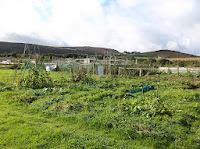 St Ives Cornwall Allotment