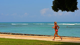 Best Places Kids To Boogie Board Oahu Best Places Kids To Boogie Board Oahu