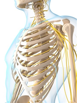 DÜŞÜNSEL VE BEDENSEL ESNEKLİK PROGRAMI (flexibility for body and mind)