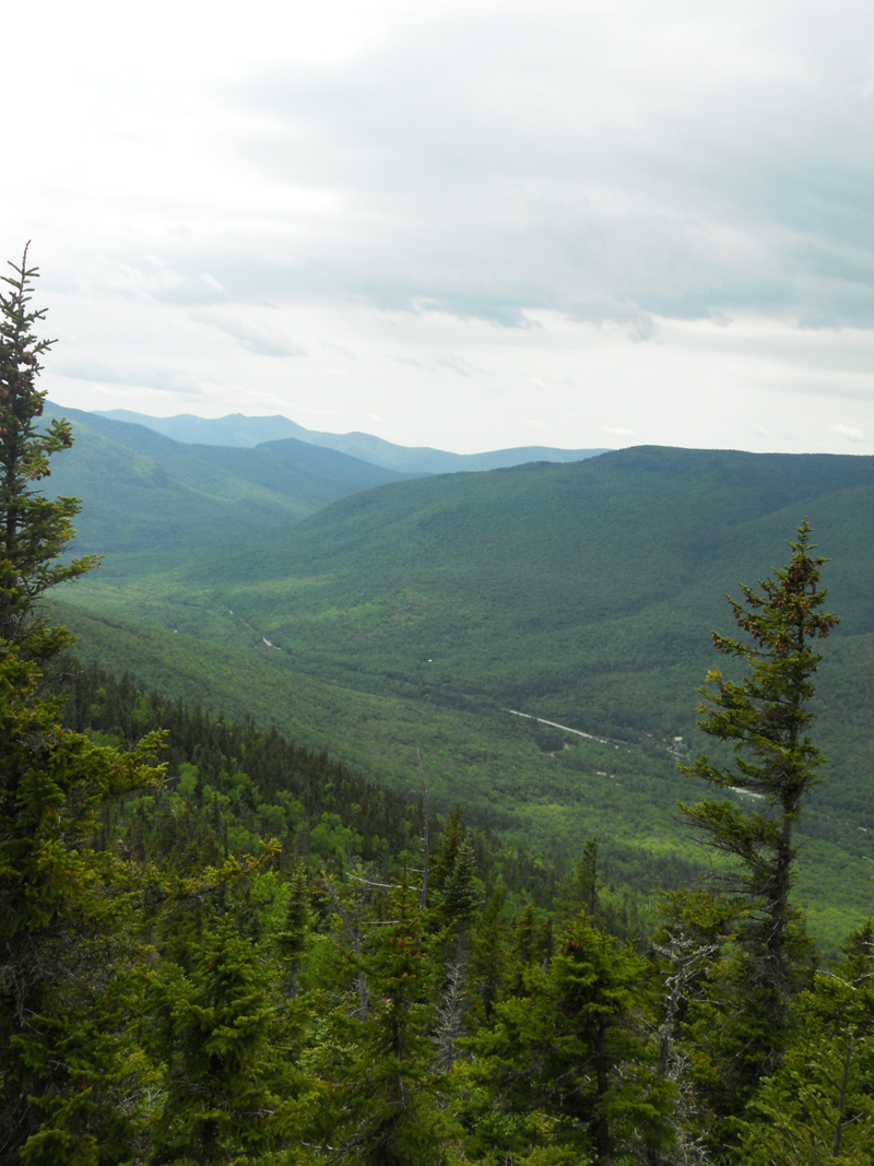 The Adventure Hiker Trail Report Davis Path up to Mt. Crawford